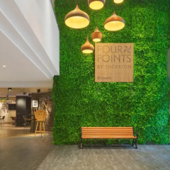 Отель Four Points by Sheraton Brussels фото 10
