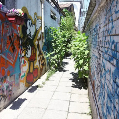 P.Loft Youth Hostel фото 2