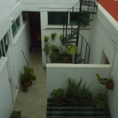 Апартаменты Sunflower Apartment near Coyoacan District Студия