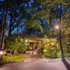 Отель Kurokawa Onsen Oyado Noshiyu Япония, Минамиогуни - отзывы, цены и фото номеров - забронировать отель Kurokawa Onsen Oyado Noshiyu онлайн фото 5