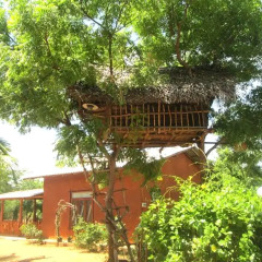 Отель Kataragama Elephant View Bunglow фото 3