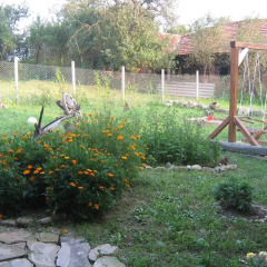 Отель Guest House Gnezdoto с домашними животными