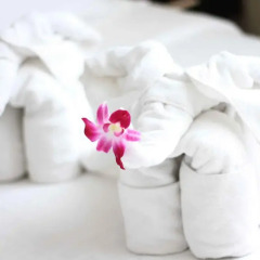Orchid Hotel 3* Стандартный номер с различными типами кроватей фото 7