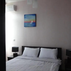 Tetri Sakhli Hotel Стандартный номер с различными типами кроватей фото 5