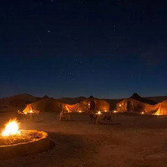 Отель Bivouac Sahara Relax Марокко, Загора - отзывы, цены и фото номеров - забронировать отель Bivouac Sahara Relax онлайн фото 2