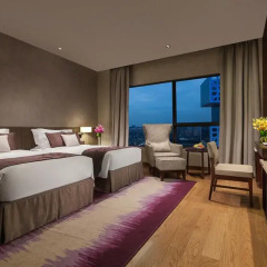 Отель Ascott Raffles City Chengdu Студия Делюкс с различными типами кроватей