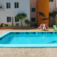 Отель Hostel Punta Sam Мексика, Плайя-Мухерес - отзывы, цены и фото номеров - забронировать отель Hostel Punta Sam онлайн бассейн фото 2