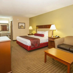 Отель Best Western Vicksburg Inn 2* Стандартный номер с различными типами кроватей фото 16