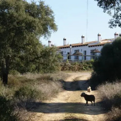 Отель Casa Rural Elanio Azul