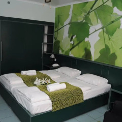 Green Hotel Budapest 4* Стандартный номер с двуспальной кроватью фото 6