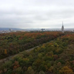 Park- Hotel Moskva 3* Люкс с разными типами кроватей фото 18