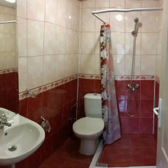 Hotel Anhea Велико Тырново ванная