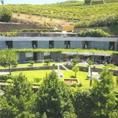 Отель Quinta do Vallado Португалия, Пезу-да-Регуа - отзывы, цены и фото номеров - забронировать отель Quinta do Vallado онлайн фото 8