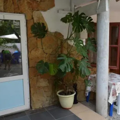 Гостиница Guest House on Gorkogo street 51 в Анапе отзывы, цены и фото номеров - забронировать гостиницу Guest House on Gorkogo street 51 онлайн Анапа спа