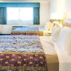 Отель Nob Hill Motor Inn 2* Полулюкс с различными типами кроватей фото 6