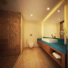 Отель Holiday Inn Kolkata Airport 4* Представительский номер с различными типами кроватей фото 2