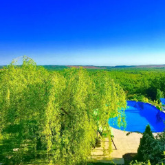 Villa Gudca Турция, Ташкёпрю - отзывы, цены и фото номеров - забронировать отель Villa Gudca онлайн бассейн