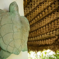 Отель Castaway Island Fiji 4* Стандартный номер с различными типами кроватей фото 12