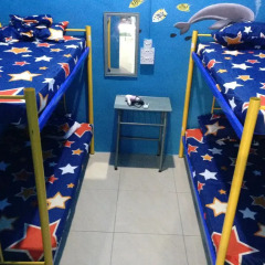 Отель Bubble Backpackers Semporna Кровать в женском общем номере с двухъярусной кроватью