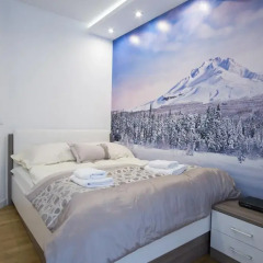 Отель Apartamenty Comfort & Spa Stara Polana Люкс повышенной комфортности фото 10