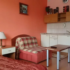 Апартаменты TES Flora Apartments Стандартный номер фото 17