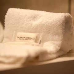 Flanders Hotel - Hampshire Classic 4* Номер категории Премиум с различными типами кроватей фото 3