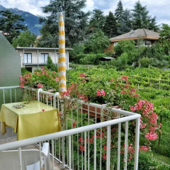 Hotel Zima 3* Стандартный номер фото 8