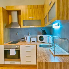 Апартаменты Silver Apartment в номере фото 2