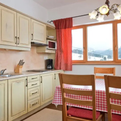 Apart Hotel Vijolica 3* Апартаменты с различными типами кроватей фото 5