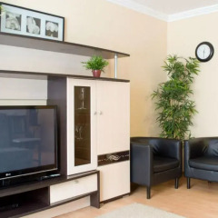 Апартаменты City Centre Standart Apartments Мурманск комната для гостей фото 2