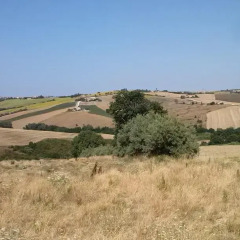 Отель B&B Verziere Джези фото 3