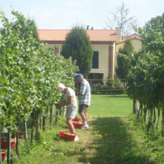 Отель Agriturismo L'Albara Италия, Лимена - отзывы, цены и фото номеров - забронировать отель Agriturismo L'Albara онлайн фото 3