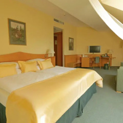 Best Western City Hotel Moran 4* Номер Делюкс с различными типами кроватей фото 2