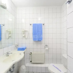 Hotel IOR 3* Номер Делюкс с различными типами кроватей фото 4