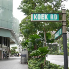 Отель Somerset Orchard Singapore Сингапур, Сингапур - отзывы, цены и фото номеров - забронировать отель Somerset Orchard Singapore онлайн парковка