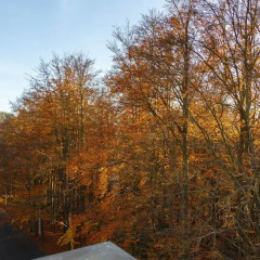 Villa Savoy Spa Park Hotel балкон