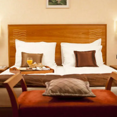 BEST WESTERN City Hotel, BW Premier Collection 4* Стандартный номер с двуспальной кроватью фото 2