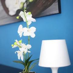 Отель Iris Room 3* Стандартный номер с различными типами кроватей фото 12