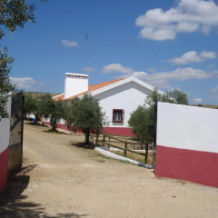 Отель Horta do Muro парковка