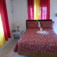 Executive Mammee Bay Hotel 3* Стандартный номер с различными типами кроватей фото 3