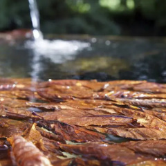 Отель Agriturismo Da Gas Сан-Джорджо-ин-Боско бассейн