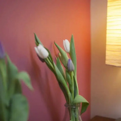 Hostel Flamingo Кровать в общем номере с двухъярусной кроватью фото 4