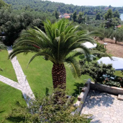 Отель Panorama House Греция, Ситония - отзывы, цены и фото номеров - забронировать отель Panorama House онлайн фото 9