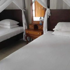 Отель Albert Guest House Номер Делюкс с различными типами кроватей фото 4