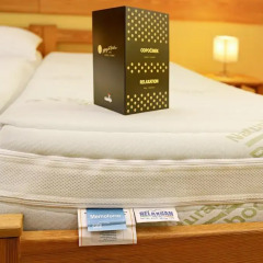 Hotel Garni Myší Díra 3* Стандартный номер