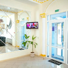 Гостиница Lira Boutique Hotel Беларусь, Могилёв - отзывы, цены и фото номеров - забронировать гостиницу Lira Boutique Hotel онлайн интерьер отеля фото 2