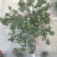 Отель Family Homestay парковка