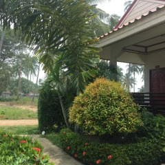 Отель Hana Lanta Resort Таиланд, Ланта - отзывы, цены и фото номеров - забронировать отель Hana Lanta Resort онлайн фото 21