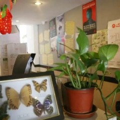 Отель Shanghai Blue Mountain Youth Hostel - Hongqiao Китай, Шанхай - отзывы, цены и фото номеров - забронировать отель Shanghai Blue Mountain Youth Hostel - Hongqiao онлайн питание