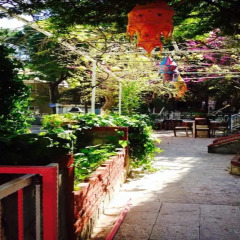 Aydeniz Pension & Apart Турция, Алтинкум - отзывы, цены и фото номеров - забронировать отель Aydeniz Pension & Apart онлайн фото 2